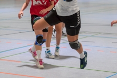 20171125_082_D1_HSGRodgauNiederRoden2