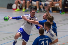 20171210_126_H1_HSGMaintal