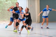 20170715_102_D1_BEnkheimBVilbel