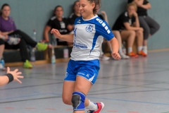 20170715_134_D1_BEnkheimBVilbel