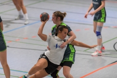 D1_20171028 SG Dietesheim/ Mühlheim (H)