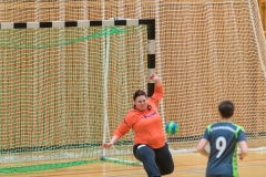 20180310_117_SGDietesheimMuehlheim_D1