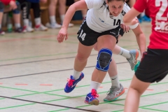 20180414_164_HSGRodgauNiederRodenII_D1