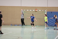 20190330_204_TVLangenselbold_D1