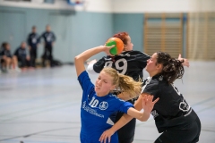 D1_20191212_HSG Rodgau Nieder-Roden II (H)