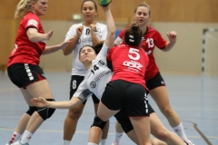 D1_20191222_082_TUSZwingenberg_D1