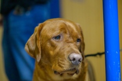 20231029_001_D1_HSG_Dreieich