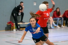 20231029_011_D1_HSG_Dreieich