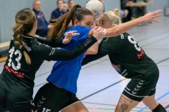 20231119_001_D1_TSV_Pfungstadt