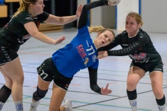 20231119_011_D1_TSV_Pfungstadt