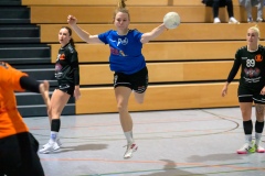 20231119_040_D1_TSV_Pfungstadt