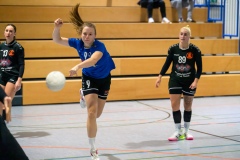 20231119_042_D1_TSV_Pfungstadt