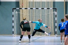 20231119_044_D1_TSV_Pfungstadt