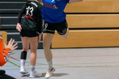 20231119_059_D1_TSV_Pfungstadt