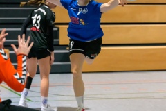 20231119_060_D1_TSV_Pfungstadt