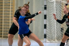 20231119_090_D1_TSV_Pfungstadt