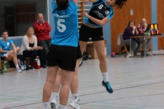 20161002_014_Erlensee_D2