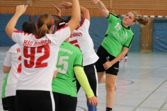 20161016_012_Dreieich_D2