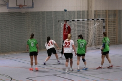 20170304_041_D2_HSGDreieich