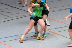 20170409_075_D2_TGSBieber