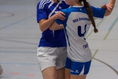 20170917_012_D2_HSGMaintalII