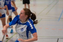 20170917_171_D2_HSGMaintalII