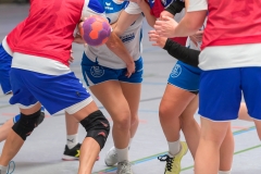 20180916_004_D2_HSGMaintalII