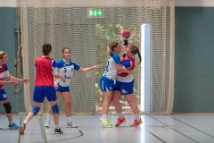 20180916_008_D2_HSGMaintalII