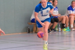 20180916_009_D2_HSGMaintalII