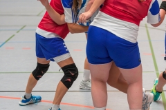 20180916_076_D2_HSGMaintalII