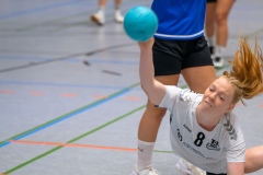 20230923_016_D2_SG_Hainhausen