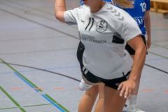 20230923_023_D2_SG_Hainhausen