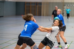 20230923_060_D2_SG_Hainhausen