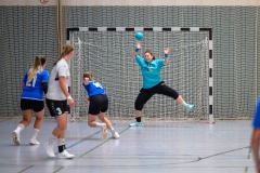 20230923_074_D2_SG_Hainhausen