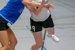 20230923_097_D2_SG_Hainhausen