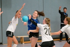 20231007_039_D2_TGS_Seligenstadt