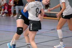 20231007_122_D2_TGS_Seligenstadt