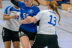 20231021_010_D2_HSG_Maintal