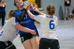 20231021_060_D2_HSG_Maintal