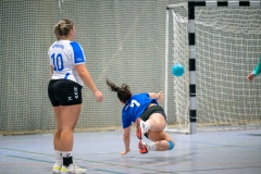 20231021_093_D2_HSG_Maintal