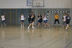 20090312_1543596464_p20090215_45