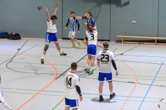 Handball Bezirksoberliga (Offenbach-Hanau)