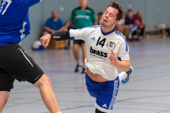 20170903_025_H1_HanauIII