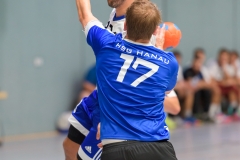 20170903_053_H1_HanauIII