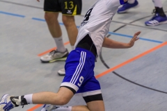 20171014_041_SGBruchkoebelII_H1