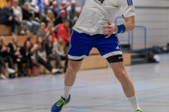 20190202_093_H1_TSVKleinAuheim