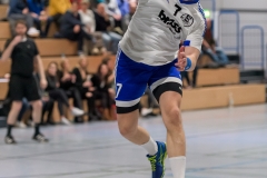 20190202_094_H1_TSVKleinAuheim