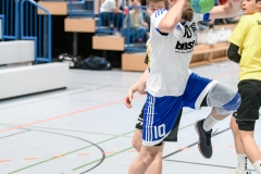 20190504_094_H1_SGBruchkoebel2