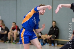 20140315_062_H2_HSGDreieichII