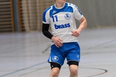 20170319_026_H2_Langenselbold